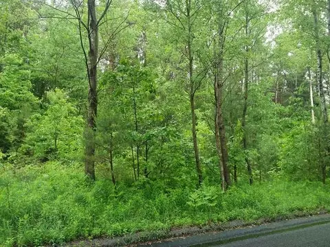 lot2 Harding, Harrison, MI 48625