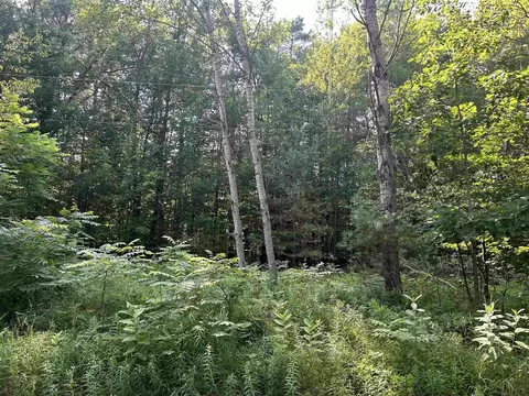 lot2 Harding, Harrison, MI 48625 photo 6