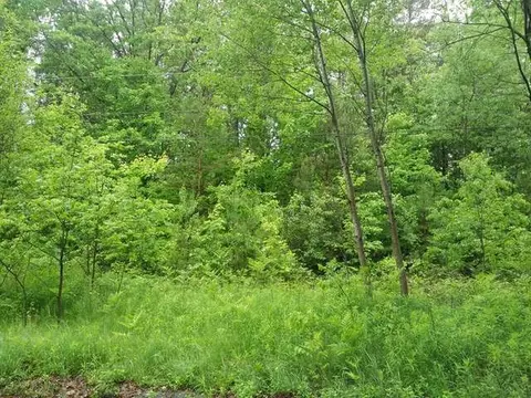 lot2 Harding, Harrison, MI 48625 photo 2