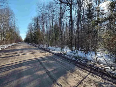 20 Acres Hardwood, Brutus, MI 49716