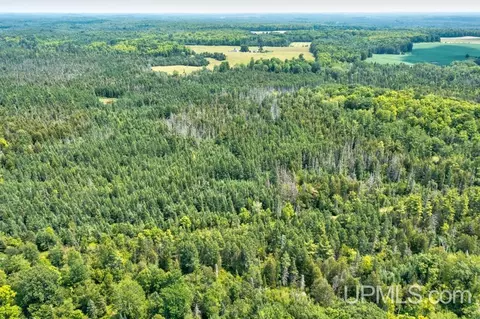 40 County 577 # A, Daggett, MI 49821 photo 4