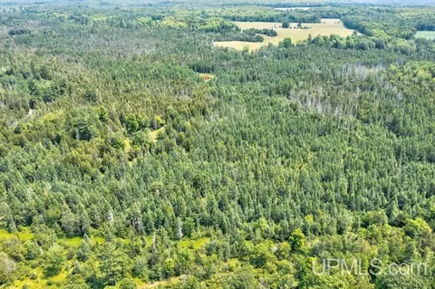 40 County 577 # A, Daggett, MI 49821 photo 2