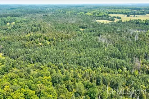 40 County 577 # A, Daggett, MI 49821 photo 3