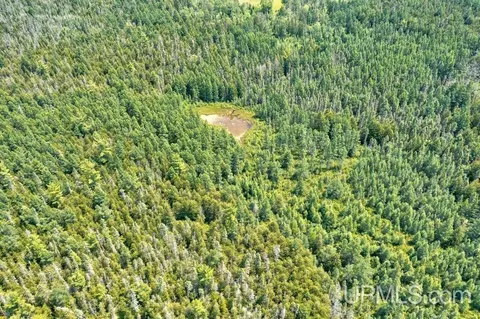 40 County 577 # A, Daggett, MI 49821 photo 6