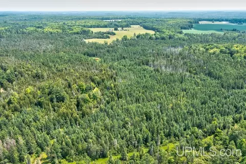 40 County 577 # A, Daggett, MI 49821 photo 5