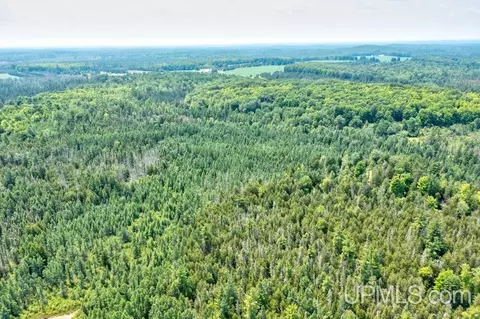 40 County 577 # A, Daggett, MI 49821 photo 8