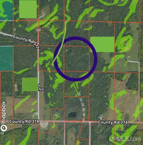 40 County 577 # A, Daggett, MI 49821 photo 9