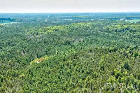 40 County 577 # A, Daggett, MI 49821 photo 7