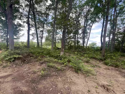 lot32 33 Grant, Harrison, MI 48625 photo 5