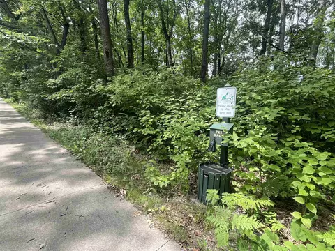 lot32 33 Grant, Harrison, MI 48625 photo 4