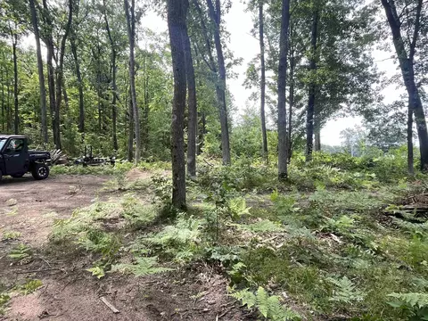lot32 33 Grant, Harrison, MI 48625 photo 18