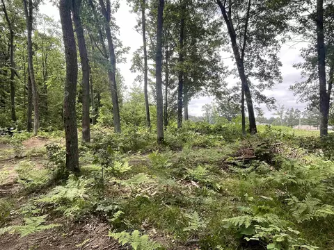 lot32 33 Grant, Harrison, MI 48625 photo 17