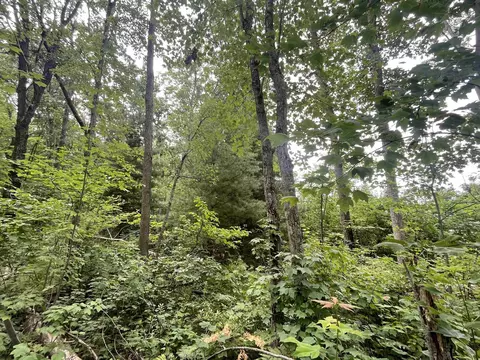 lot32 33 Grant, Harrison, MI 48625 photo 9
