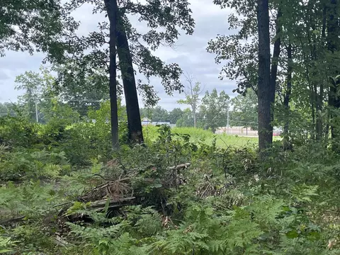 lot32 33 Grant, Harrison, MI 48625 photo 16