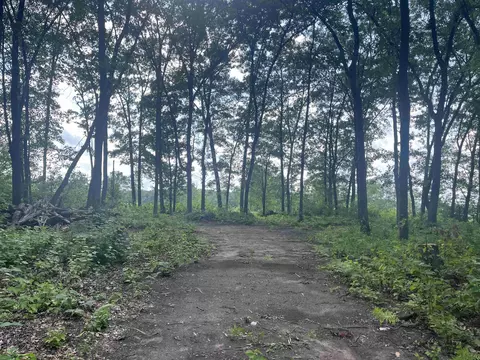 lot32 33 Grant, Harrison, MI 48625 photo 14