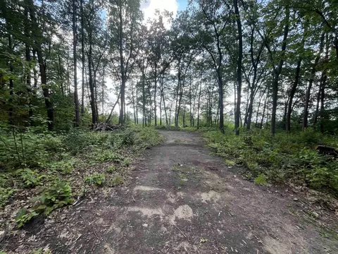 lot32 33 Grant, Harrison, MI 48625 photo 13