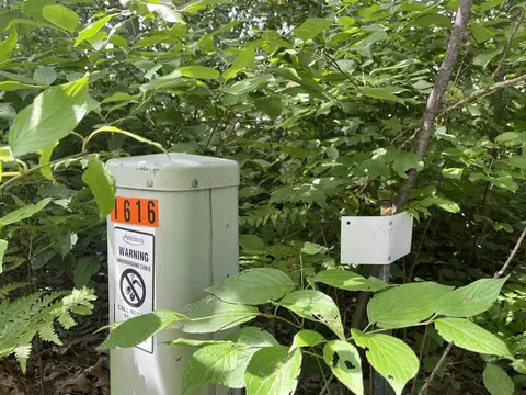 lot32 33 Grant, Harrison, MI 48625 photo 8