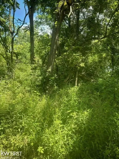 4411 Quick, Holly, MI 48442 photo 3