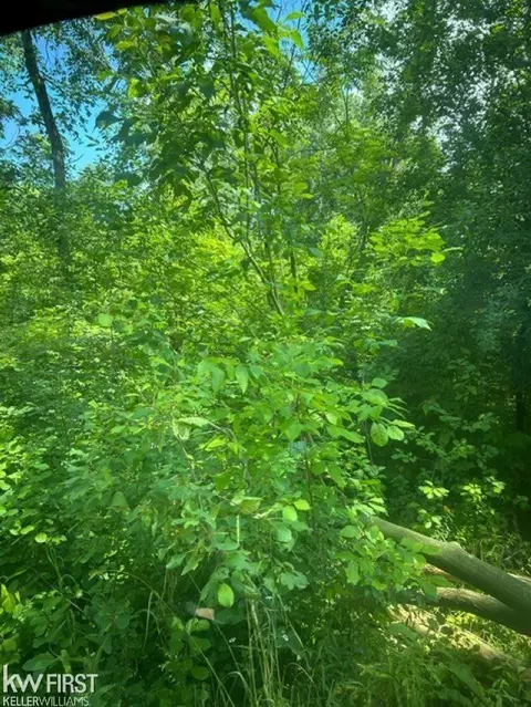 4411 Quick, Holly, MI 48442 photo 2