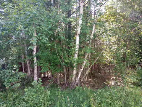 lot41 Sandbridge, Gladwin, MI 48624