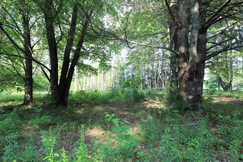 12206 Bell, Burt, MI 48415 photo 4
