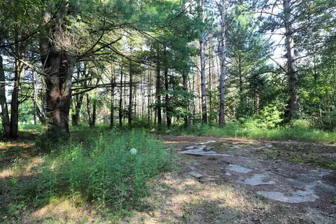 12206 Bell, Burt, MI 48415 photo 8