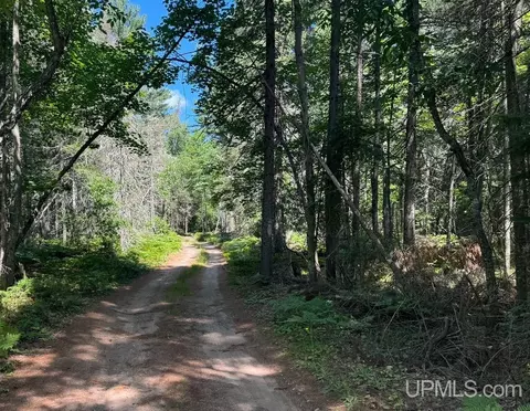 tbd Willow Creek Rd 10 Acres Sec34, Ishpeming, MI 49849