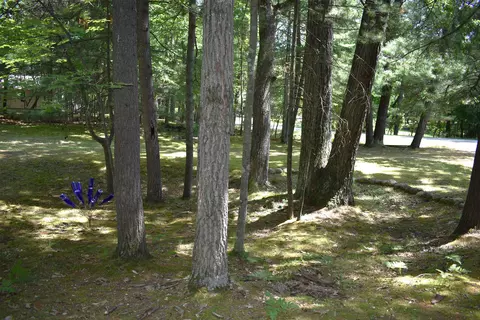 4761 Lancer, Gladwin, MI 48624 photo 8