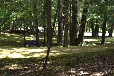 4761 Lancer, Gladwin, MI 48624 photo 11