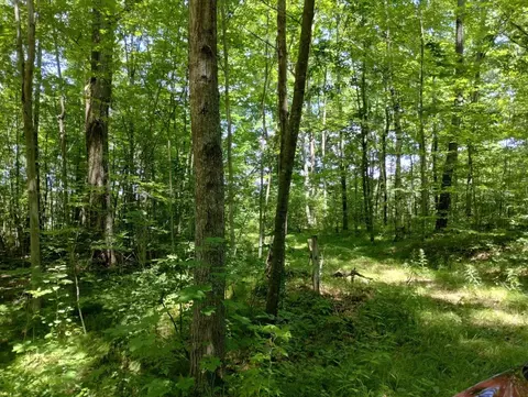 Tbd Winding Wood, Farwell, MI 48622