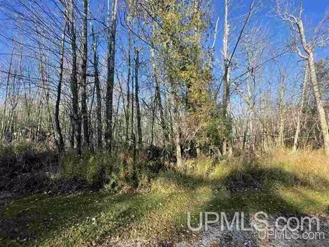 lot9 Petit Pt, Stephenson, MI 49887