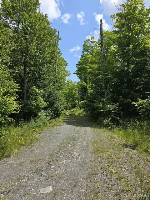 13856 Section 16, Covington, MI 49919 photo 44