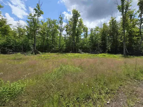 13856 Section 16, Covington, MI 49919 photo 14