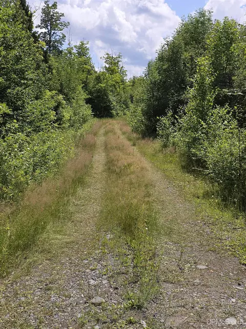 13856 Section 16, Covington, MI 49919 photo 45