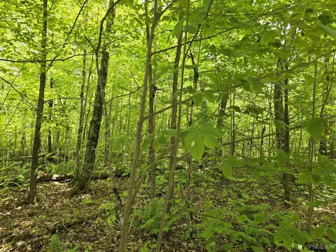13856 Section 16, Covington, MI 49919 photo 15