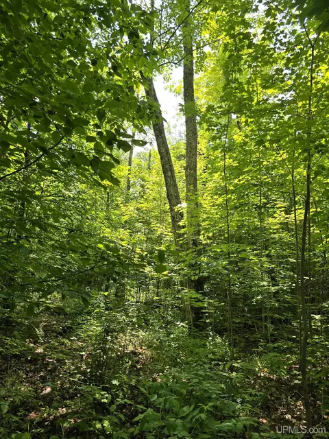 13856 Section 16, Covington, MI 49919 photo 36