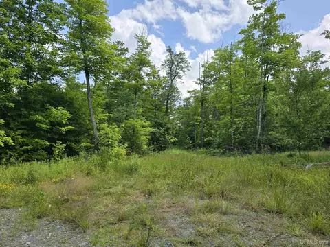 13856 Section 16, Covington, MI 49919 photo 9