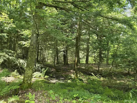 13856 Section 16, Covington, MI 49919 photo 17