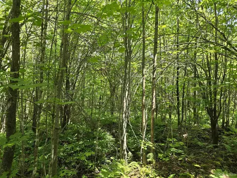 13856 Section 16, Covington, MI 49919 photo 39