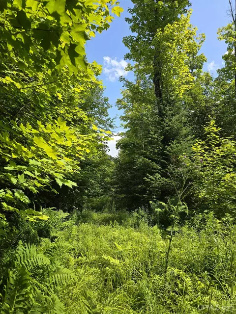 13856 Section 16, Covington, MI 49919 photo 42