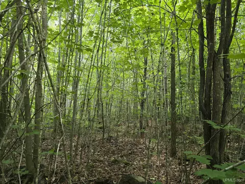 13856 Section 16, Covington, MI 49919 photo 37