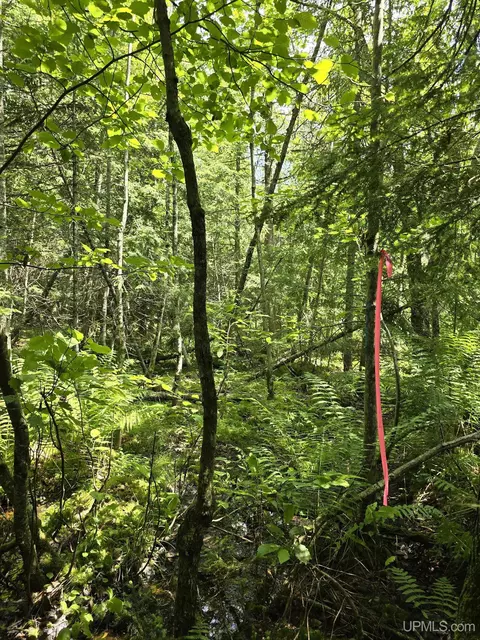 13856 Section 16, Covington, MI 49919 photo 31