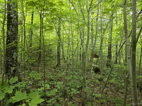 13856 Section 16, Covington, MI 49919 photo 24