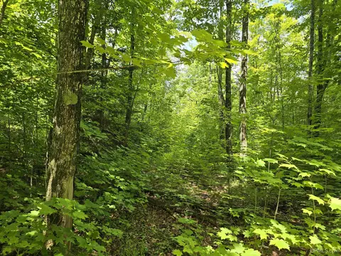 13856 Section 16, Covington, MI 49919 photo 26