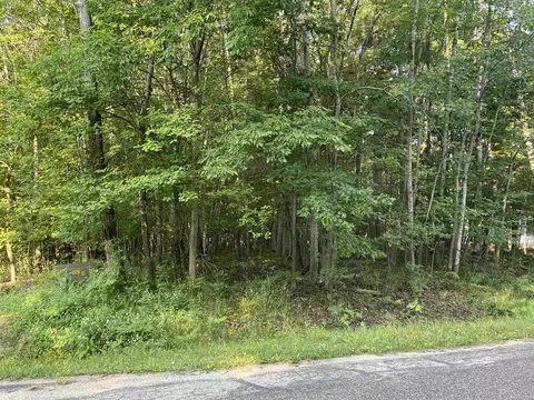 5193 King George #LOT 178-179 KING GEORGE CT, Gladwin, MI 48624 photo 3