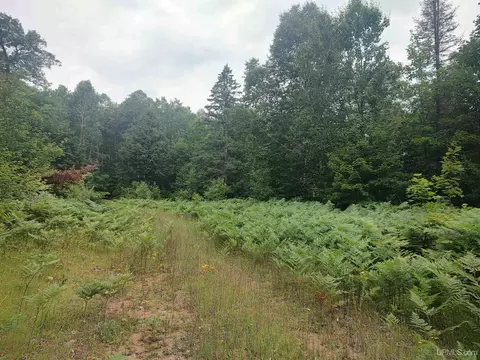 60 Acres Sleepy Holw, Ishpeming, MI 49849