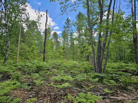 253 Beauyan Lk, Little Lake, MI 49833
