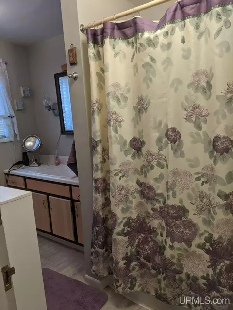 110 Chestnut, Munising, MI 49862 photo 3