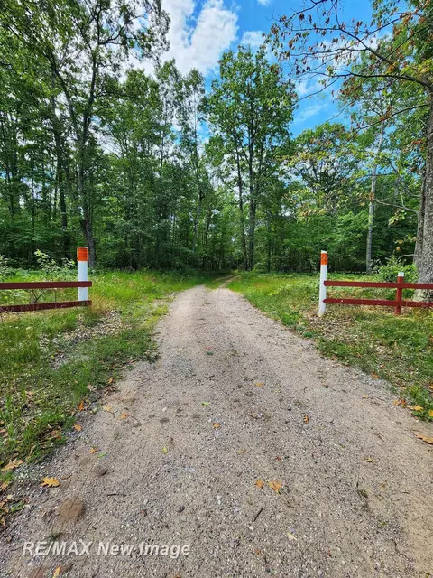 1040 E Ritchie, Lincoln, MI 48742 photo 9