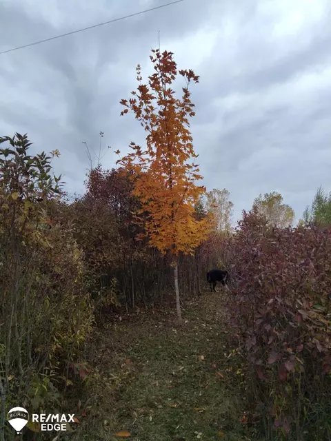 0 Maple Leaf, Lapeer, MI 48446 photo 7